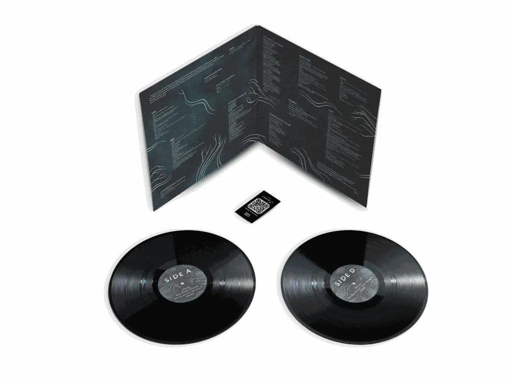 Vinyle LP2